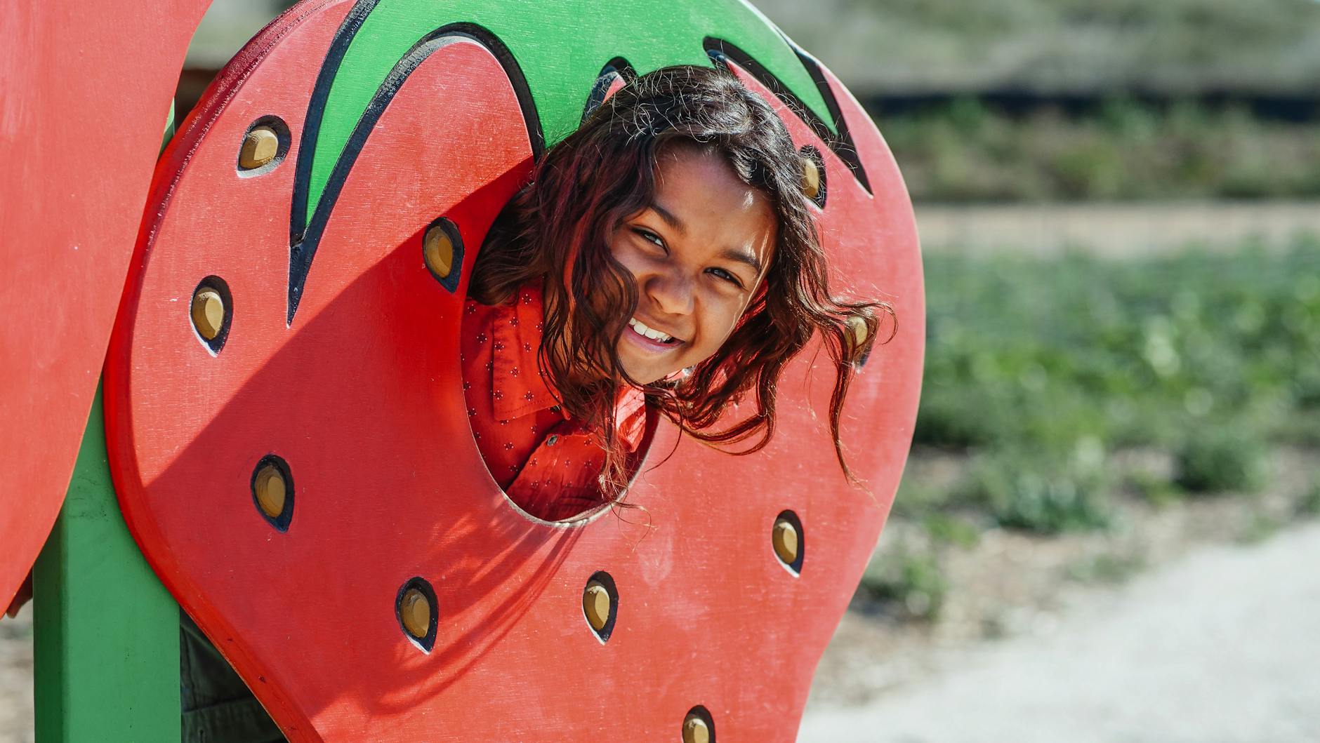 Güneşli bir çiftlik ortamında çilek temalı fotoğraf çekim alanında eğlenen gülen kız. - sürdürülebilir tarım